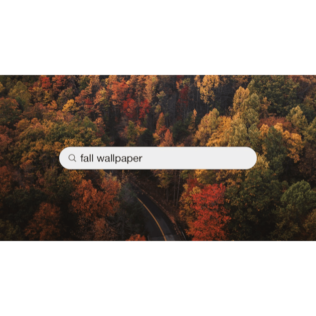 fall tree desktop background color