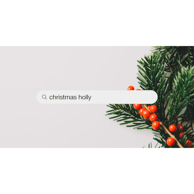 5th December 2018 Dublin Holly Christmas Stock Photo 1257390988