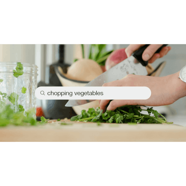 Chopping vegetables - Stock Image - C051/3883 - Science Photo Library