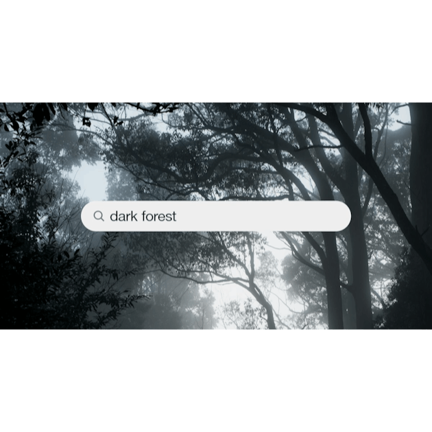 Dark forest pictures: Những bức ảnh rừng đen đầy huyền bí sẽ khiến bạn có cảm giác như mình đang bước vào một thế giới khác. Với ánh sáng lắt léo, rừng đen nổi bật trên nền chụp hình, tạo nên một bức tranh sống động và tuyệt đẹp.