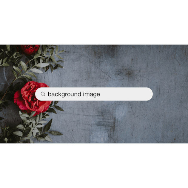 Best 100+ Free Background Images [HD]  Download your next background photo  on Unsplash