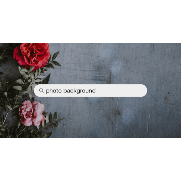 550+ Photo Background Pictures  Download Free Images on Unsplash