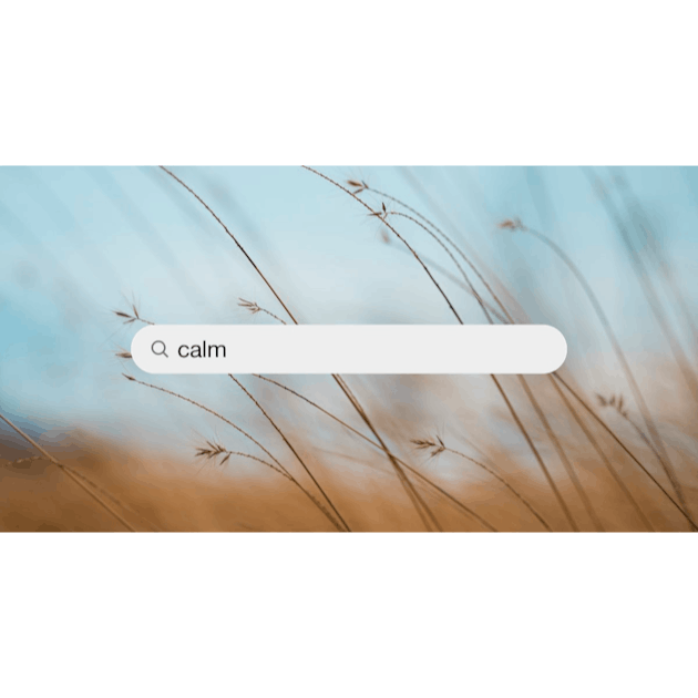calm wallpapers  100+ best free calm, wallpaper, background, and outdoor  photos on Unsplash
