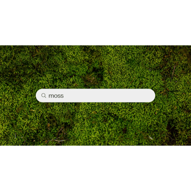 500+ Moss Texture Pictures [HD]  Download Free Images on Unsplash