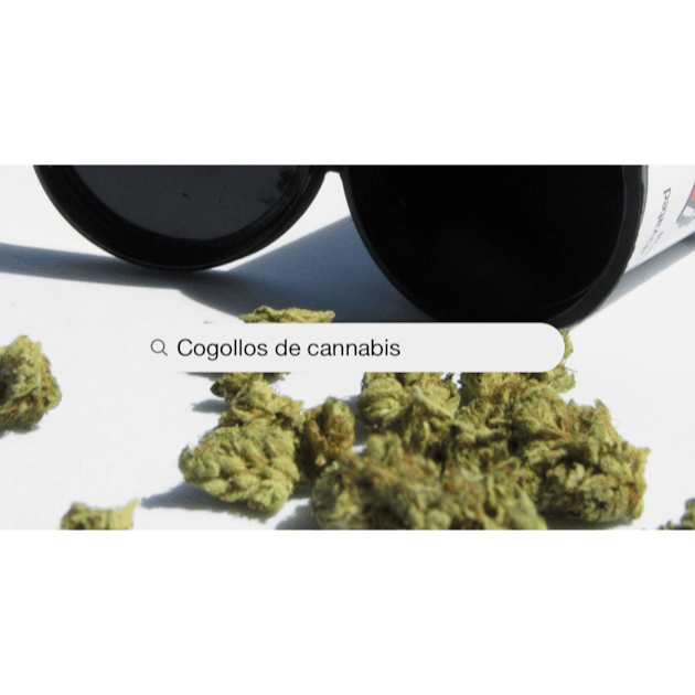 Cogollos de cannabis fotografías e imágenes de alta resolución - Alamy