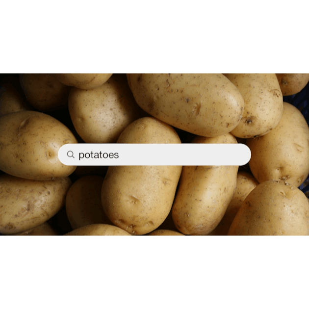 100+ Potato Pictures  Download Free Images on Unsplash