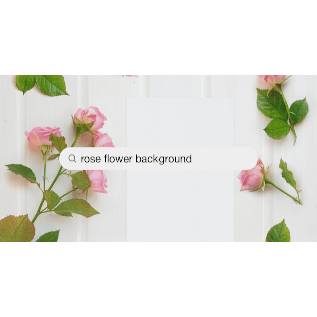 Rose Flower Background Pictures | Download Free Images on Unsplash