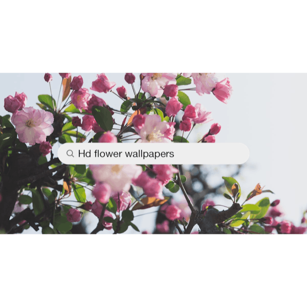 500+ Spring Flowers Pictures  Download Free Images on Unsplash