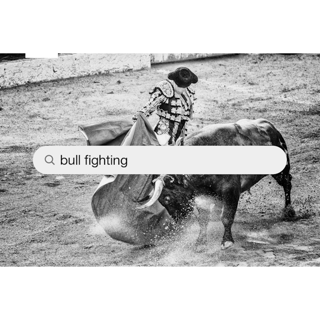 Black Bull Running On A Dirt Track Background, Bullfighting Bull Fight, Hd  Photography Photo, Vertebrate Background Image And Wallpaper for Free  Download