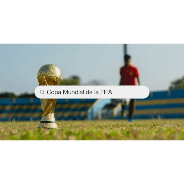 146,018 en la categoría «Copa mundial de fútbol» de fotos e imágenes de  stock libres de regalías