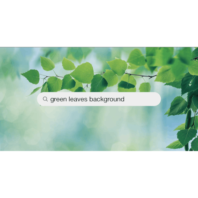 999+ Green Leaves Background Pictures | Download Free Images on Unsplash