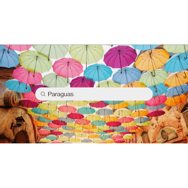 30,000+ Paraguas Fotos  Descargar imágenes gratis en Unsplash