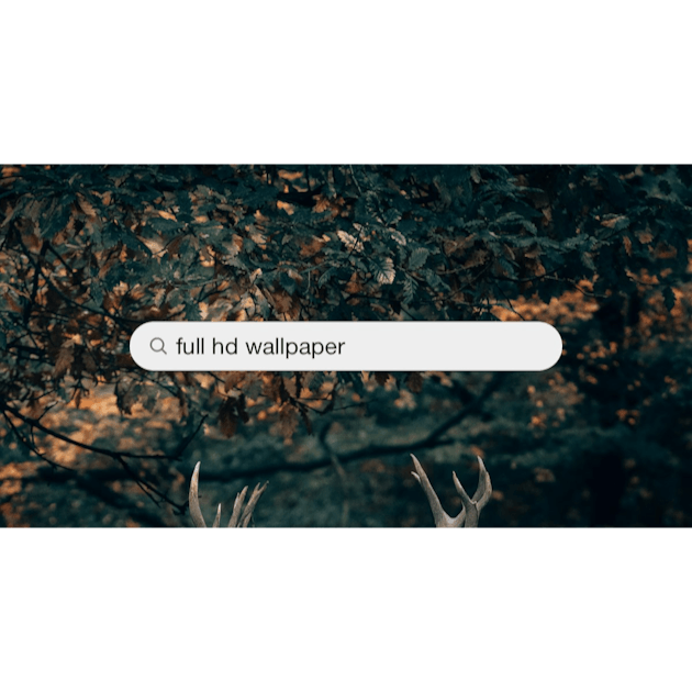 1500+ Full Hd Wallpaper Pictures  Download Free Images on Unsplash