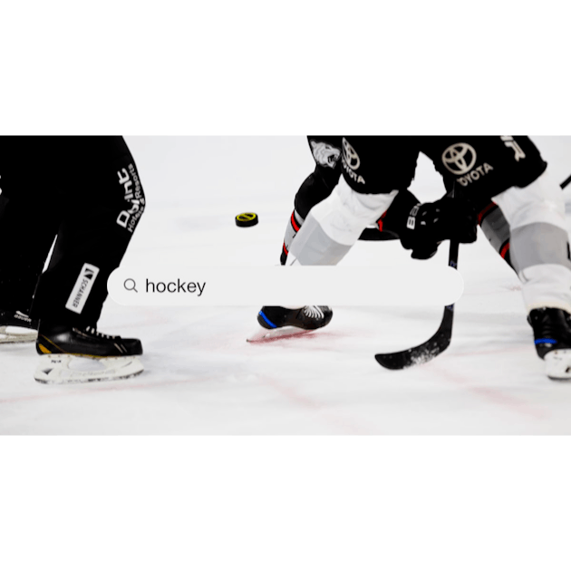 62,105 Hockey Check Stock Photos, High-Res Pictures, and Images - Getty  Images