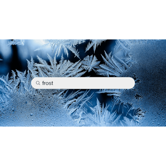 30,000+ Frost Pictures  Download Free Images on Unsplash