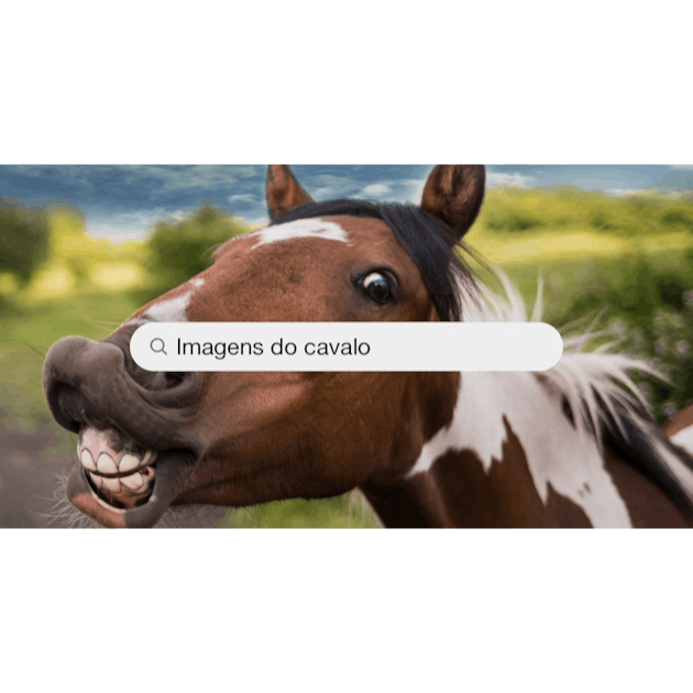 Download Gratuito de Fotos de Cavalo feliz sorrindo