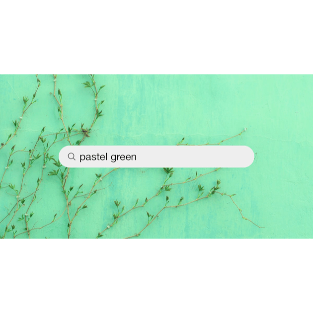 1000+ Pastel Green Pictures | Download Free Images on Unsplash