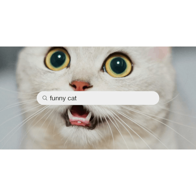 Cat loading icon meme | Photographic Print