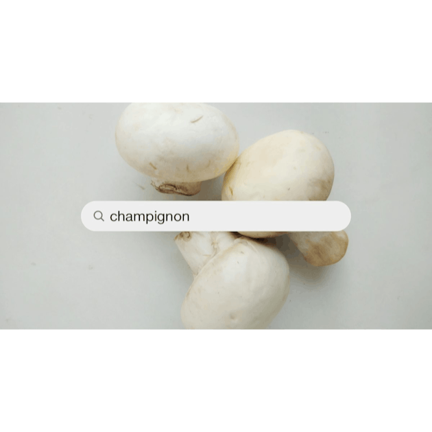 25+ Thousand Champignon Royalty-Free Images, Stock Photos & Pictures