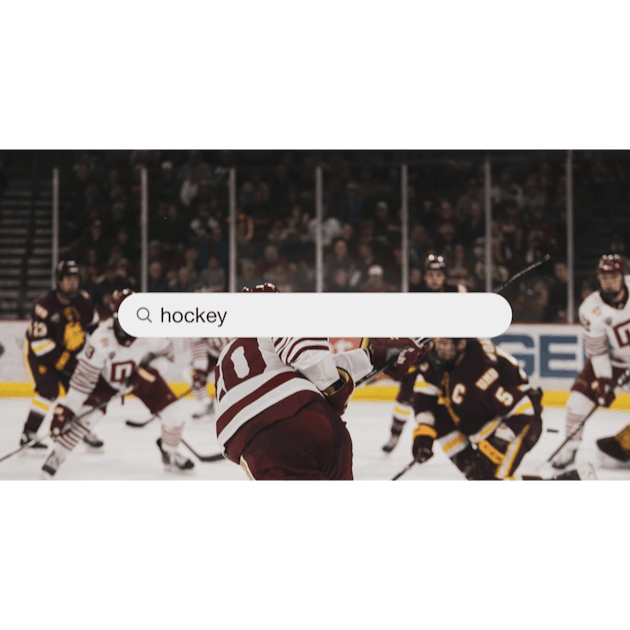 62,105 Hockey Check Stock Photos, High-Res Pictures, and Images - Getty  Images