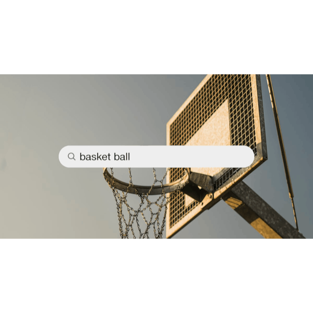 Basket Ball Pictures  Download Free Images on Unsplash
