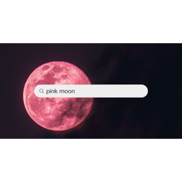 1500+ Pink Moon Pictures  Download Free Images on Unsplash
