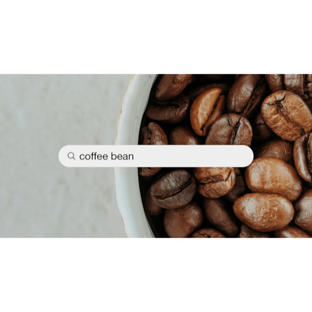 500+ Coffee Bean Pictures  Download Free Images on Unsplash