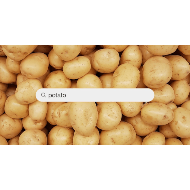 100+ Potato Pictures  Download Free Images on Unsplash