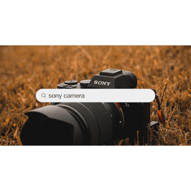 999+ Sony Camera Pictures  Download Free Images on Unsplash