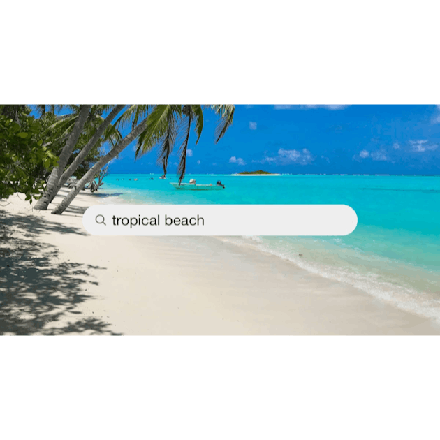 750+ Tropical Beach Pictures  Download Free Images on Unsplash