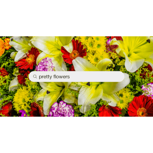 550+ Pretty Flowers Pictures  Download Free Images on Unsplash