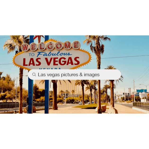 Swimming pool surrounded by green trees and buildings during daytime photo  – Free Las vegas strip Image on Unsplash