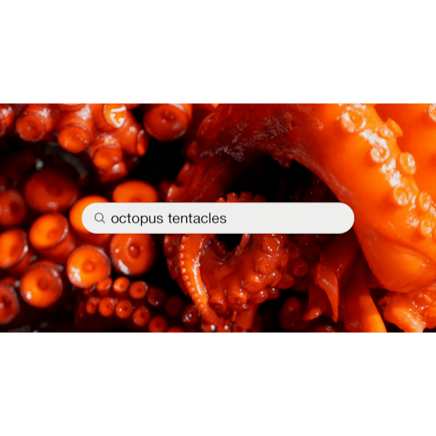 Octopus Tentacles Pictures  Download Free Images on Unsplash