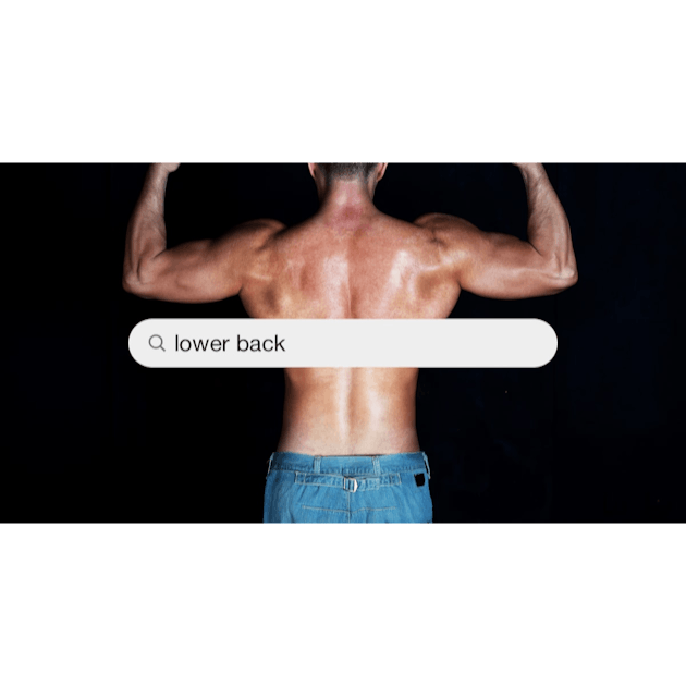 Back Muscles Pictures  Download Free Images on Unsplash