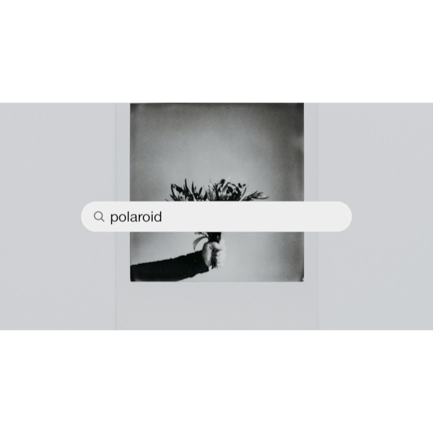 750+ Polaroid Pictures [HQ] | Download Free Images on Unsplash