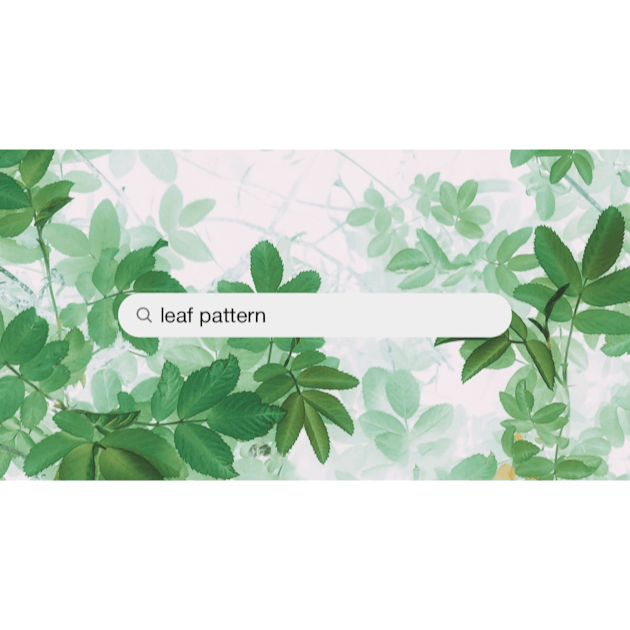 45,628+ Green Foliage Pictures  Download Free Images on Unsplash