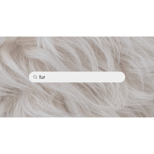 White Fur Stock Photo - Download Image Now - Wool, Animal, Animal Hair -  iStock