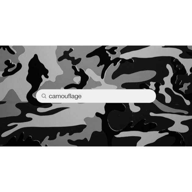 350+ Camouflage Pictures [HQ]  Download Free Images on Unsplash