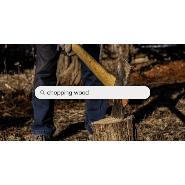 50,000+ Wood Cutting Pictures  Download Free Images on Unsplash