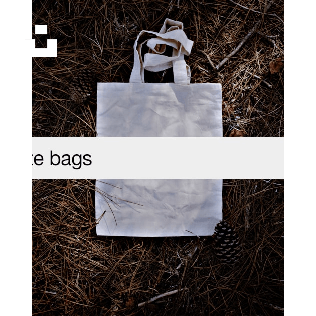 Eco Bag Pictures  Download Free Images on Unsplash