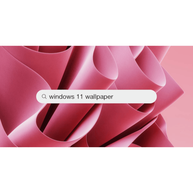 Windows 11 Wallpaper Pictures  Download Free Images on Unsplash