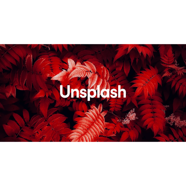 Hupe Photos  Télécharger des images gratuites sur Unsplash