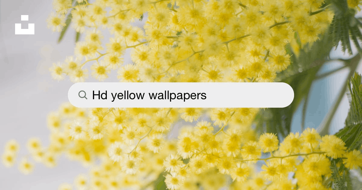 Yellow Wallpapers: Free HD Download [500+ HQ] | Unsplash