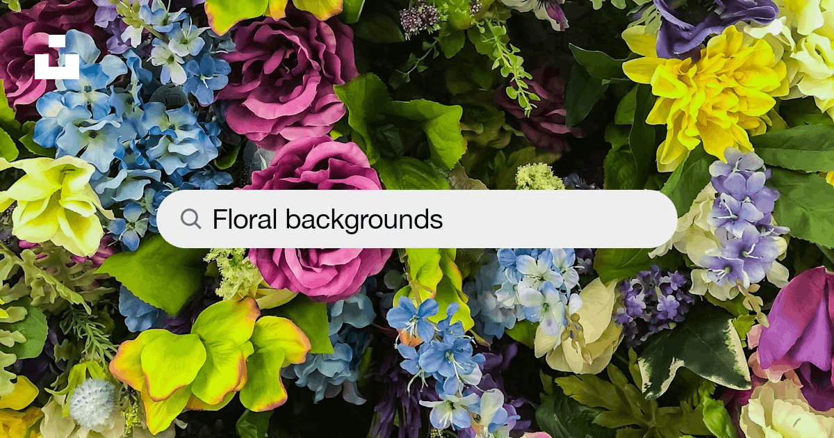 1000+ unique Unsplash flower background designs for social media