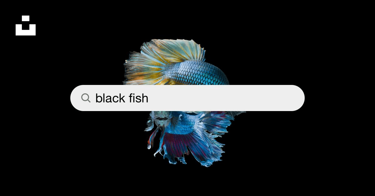 Black Fish Pictures | Download Free Images on Unsplash