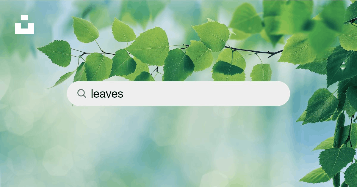 750+ Leaves Pictures | Download Free Images on Unsplash