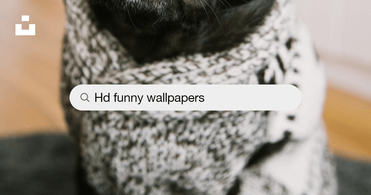 Funny Wallpapers: Free HD Download [500+ HQ] | Unsplash
