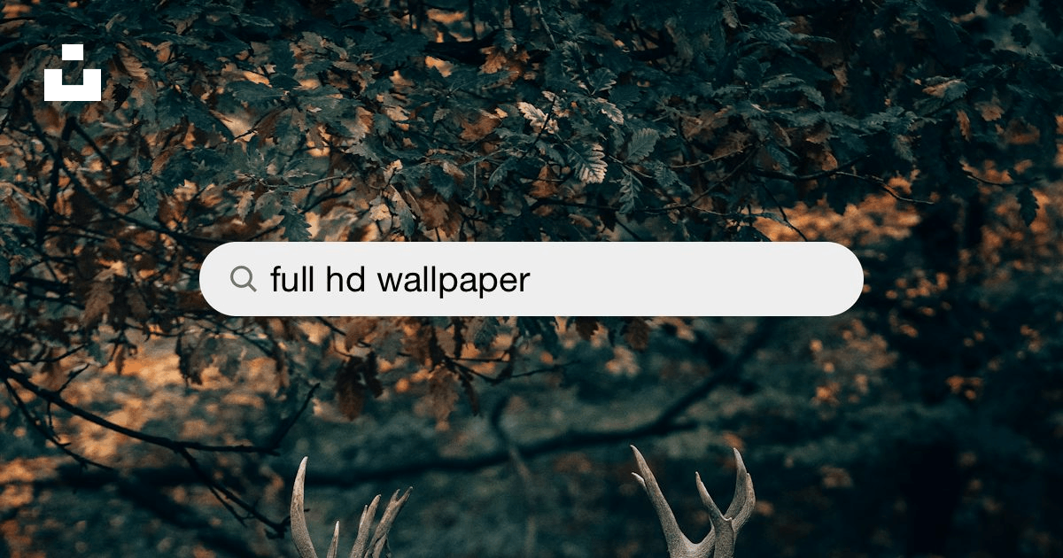 1500+ Full Hd Wallpaper Pictures | Download Free Images on Unsplash