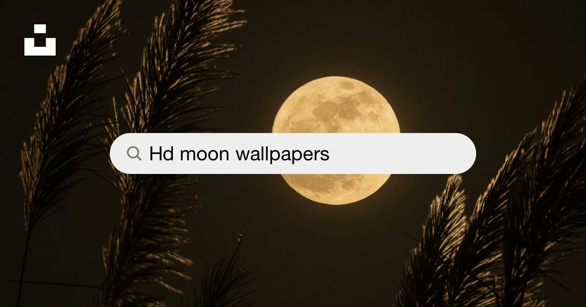 Moon Wallpapers: Free HD Download [500+ HQ] | Unsplash