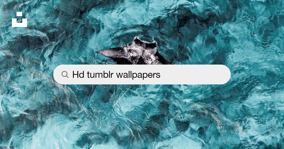 Tumblr Wallpapers: Free HD Download [500+ HQ] | Unsplash